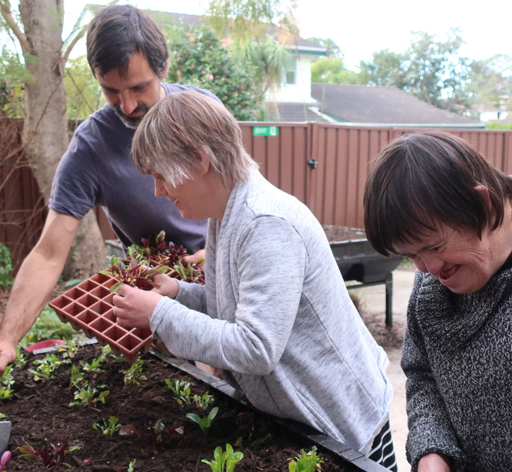 A Vegepod Social Enterprise at Warrah