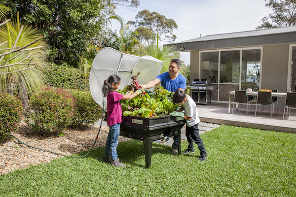 jamie durie with his kids and the vegepod