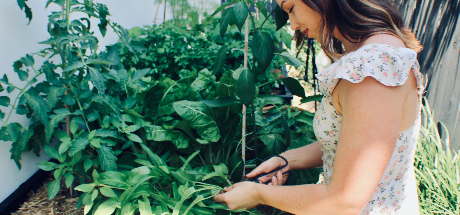 Pod-to-Plate: Chloe Carroll's Crispy, Crunchy Spanakopita