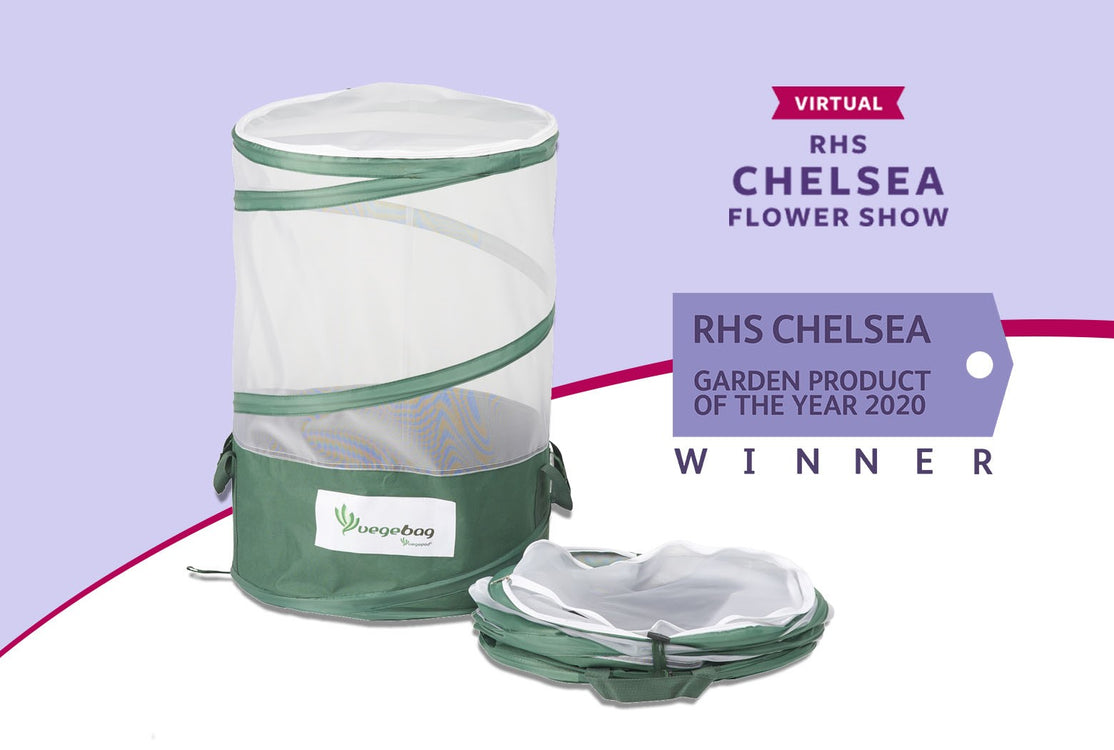 Vegebag Won Best Garden Product of the Year at RHS Chelsea Flower Show!