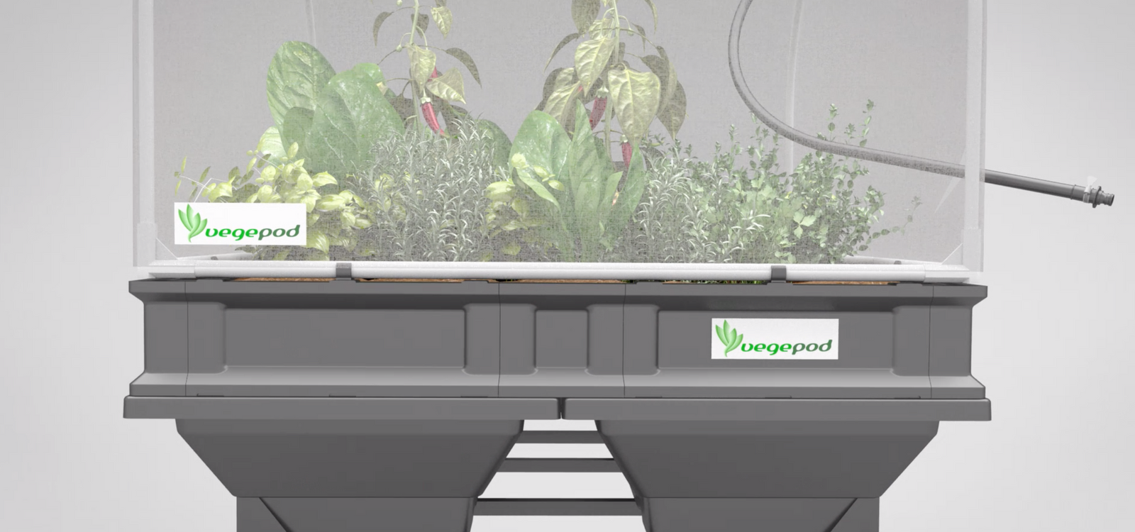 Vegepod's New 3D Animation Video!