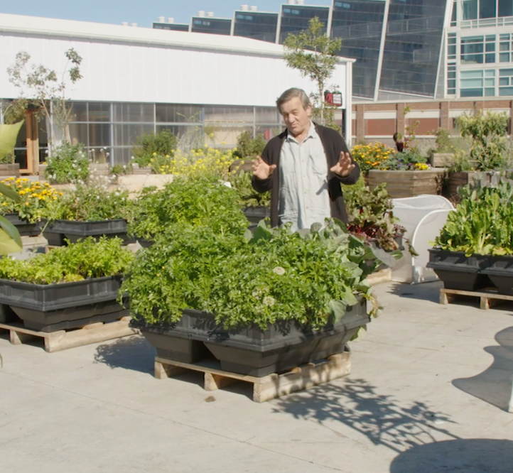 Ask Angus: How to Build A Worm Tower In the Vegepod!