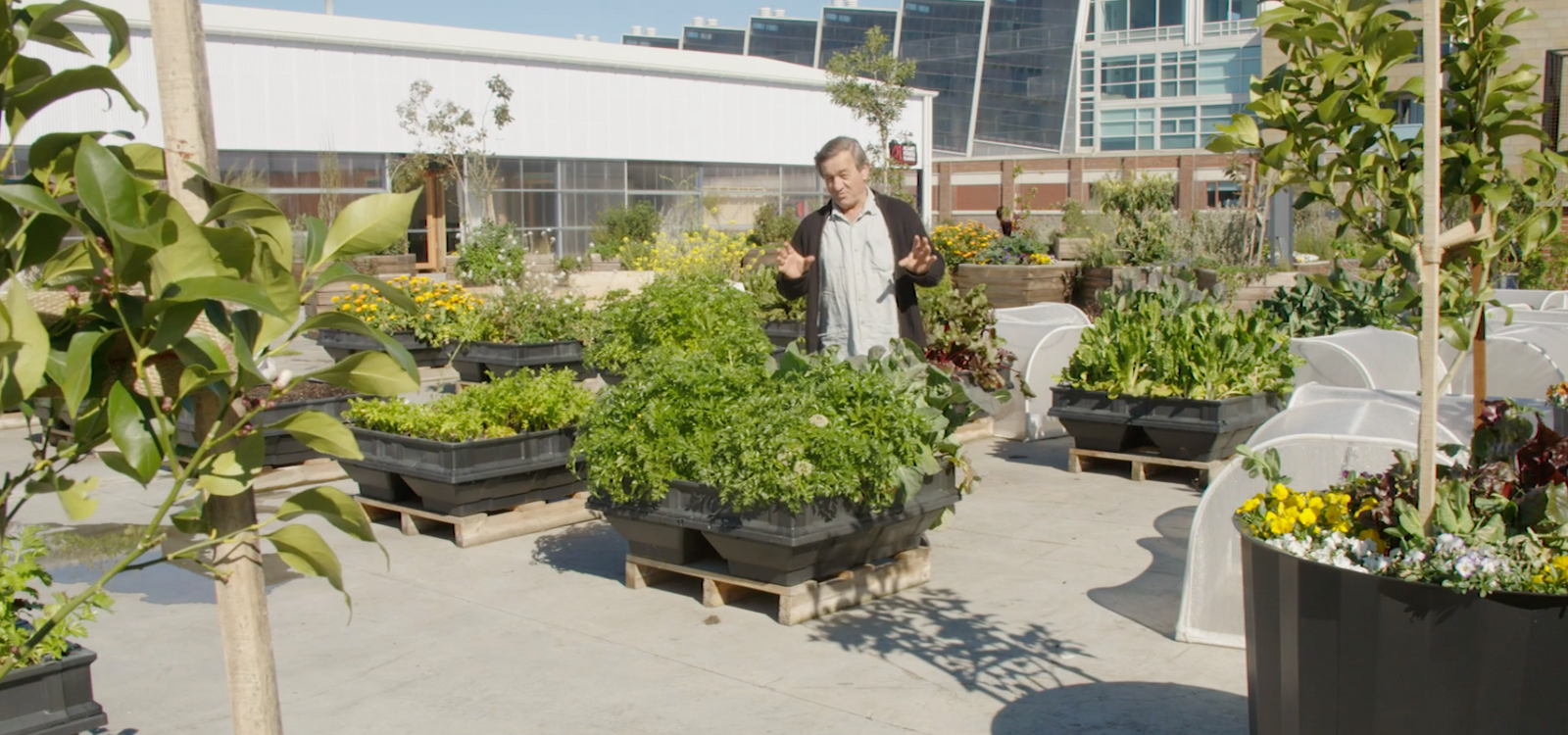 Ask Angus: How to Build A Worm Tower In the Vegepod!