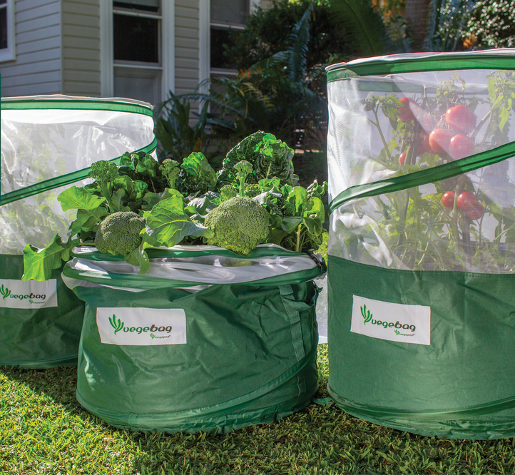Pre-Order the New & Improved Vegebag - Winner of the Chelsea Flower Show 2020 Product of the Year!