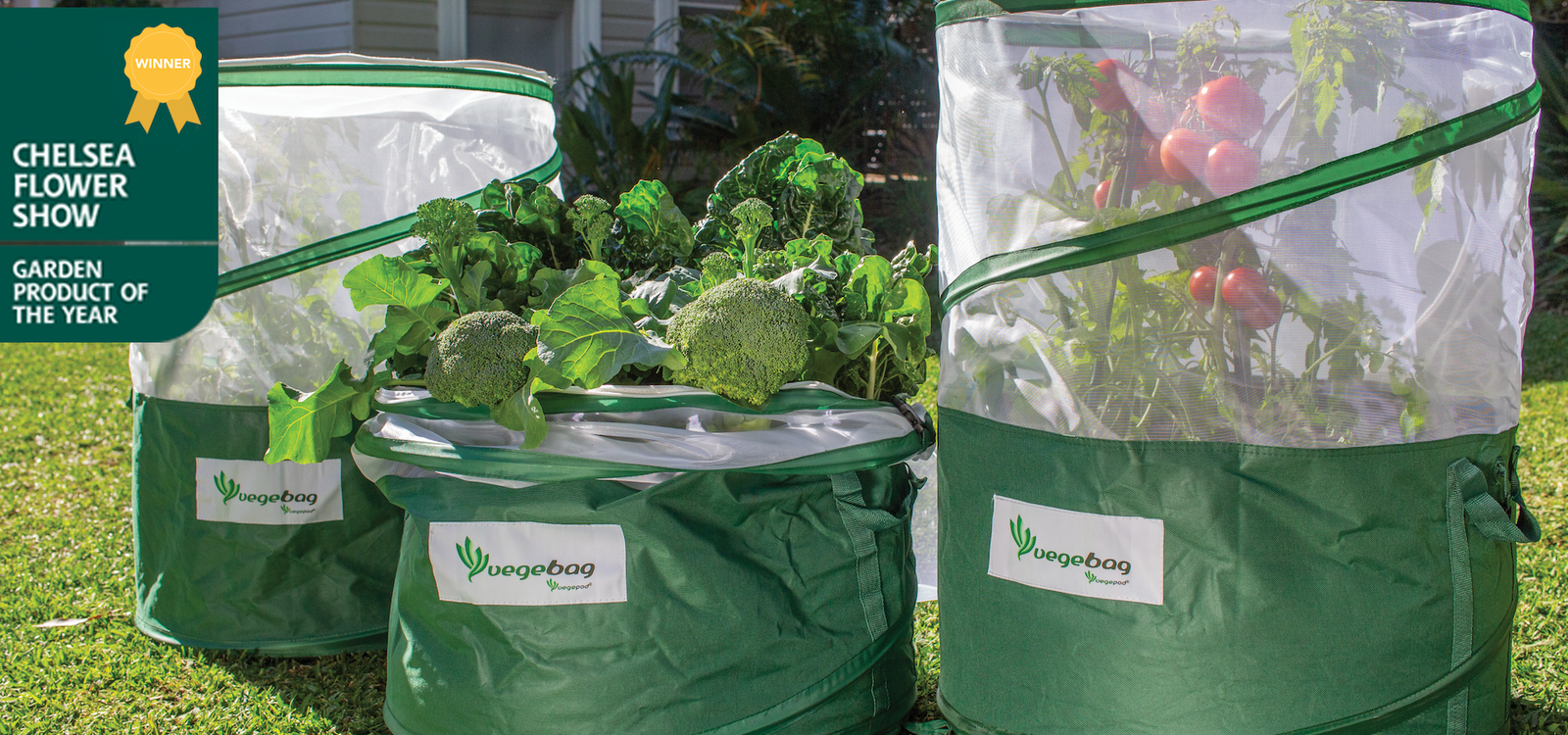 Pre-Order the New & Improved Vegebag - Winner of the Chelsea Flower Show 2020 Product of the Year!