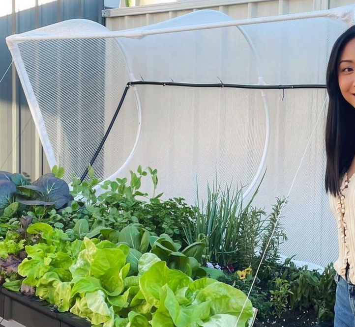 Pod-to-Plate: Cherie Tu's Super-Green Pesto Pasta (Vegan)