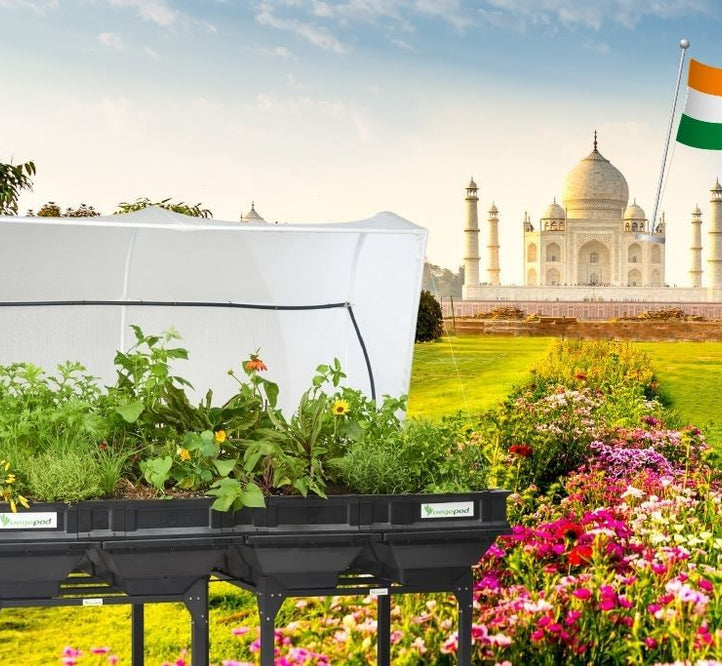 Welcome Vegepod India, Our 20th Country!
