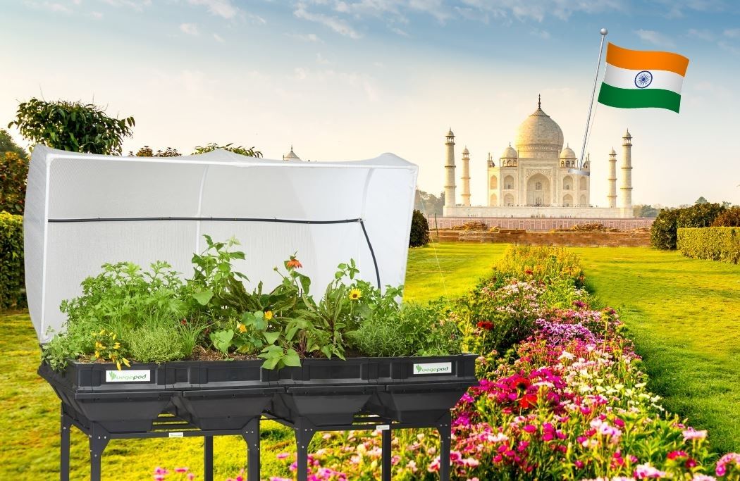 Welcome Vegepod India, Our 20th Country!