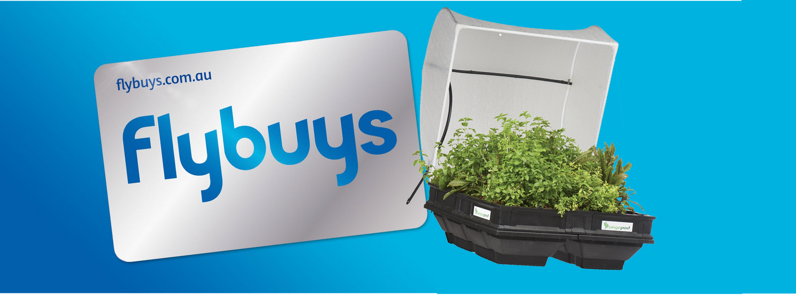 Update: Vegepod Is Now On Flybuys!