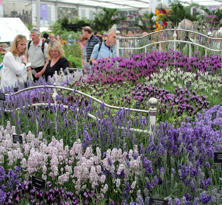 Vegepod Goes to the Chelsea Flower Show!