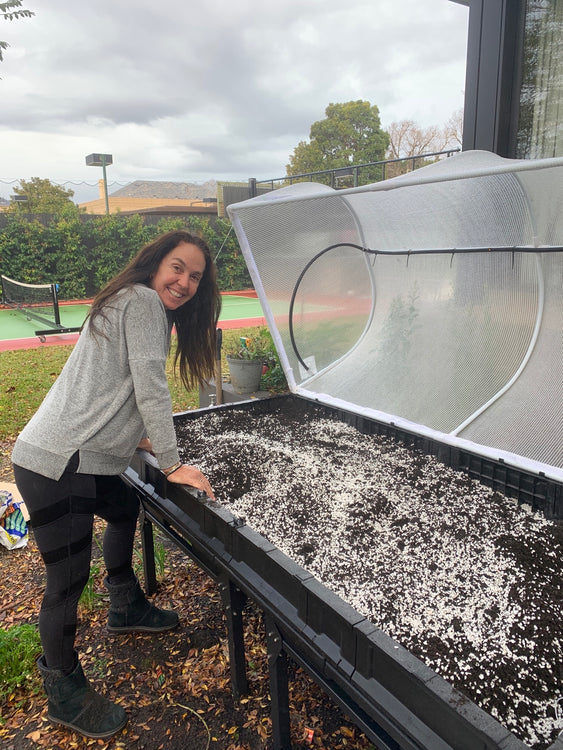 An Interview: with Janine Allis founder of Boost Juice and New Podder!