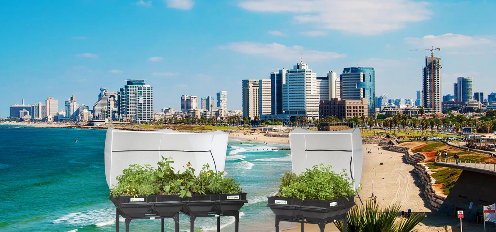 Vegepod Israel Joins the International Family!