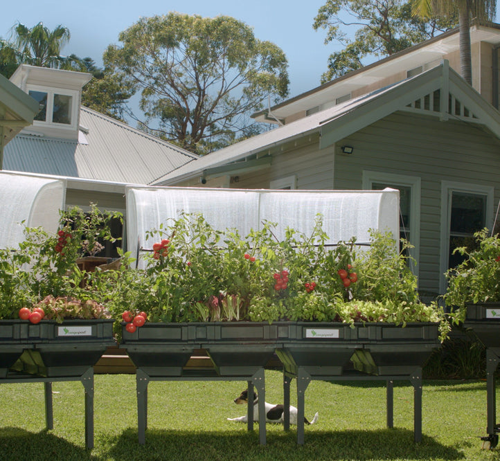 Pod It Up: Maintaining A Manicured Lawn With Vegepods