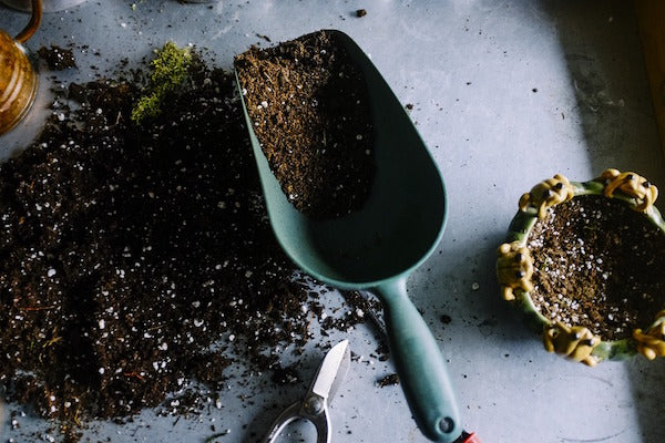 Is Soil Really Soil?