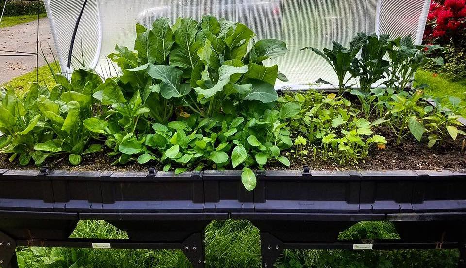 Celebrating 3 Years Of Impressive Pods