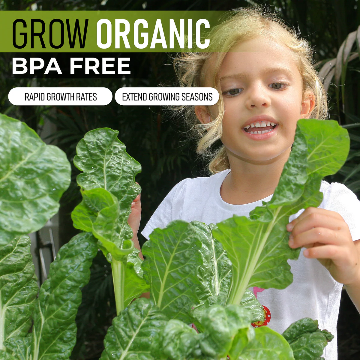 Easy-Grow Self-Watering Raised Garden Bed