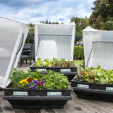 Easy-Grow Self-Watering Raised Garden Bed