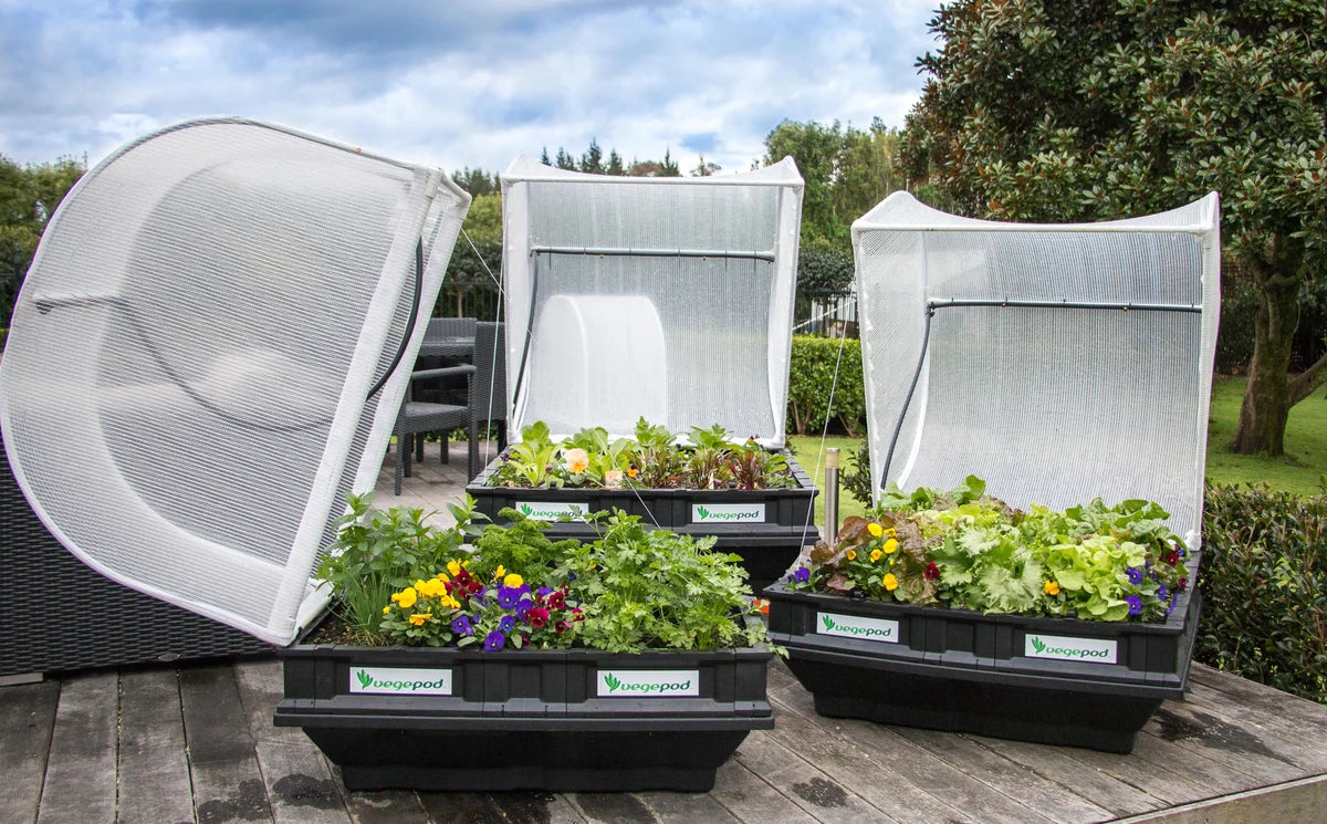 Easy-Grow Self-Watering Raised Garden Bed