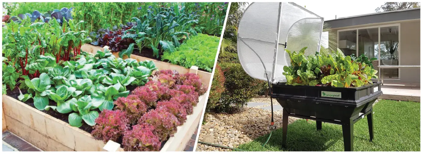 Vegetable Planters - Planting Your Vegepod for the First Time
