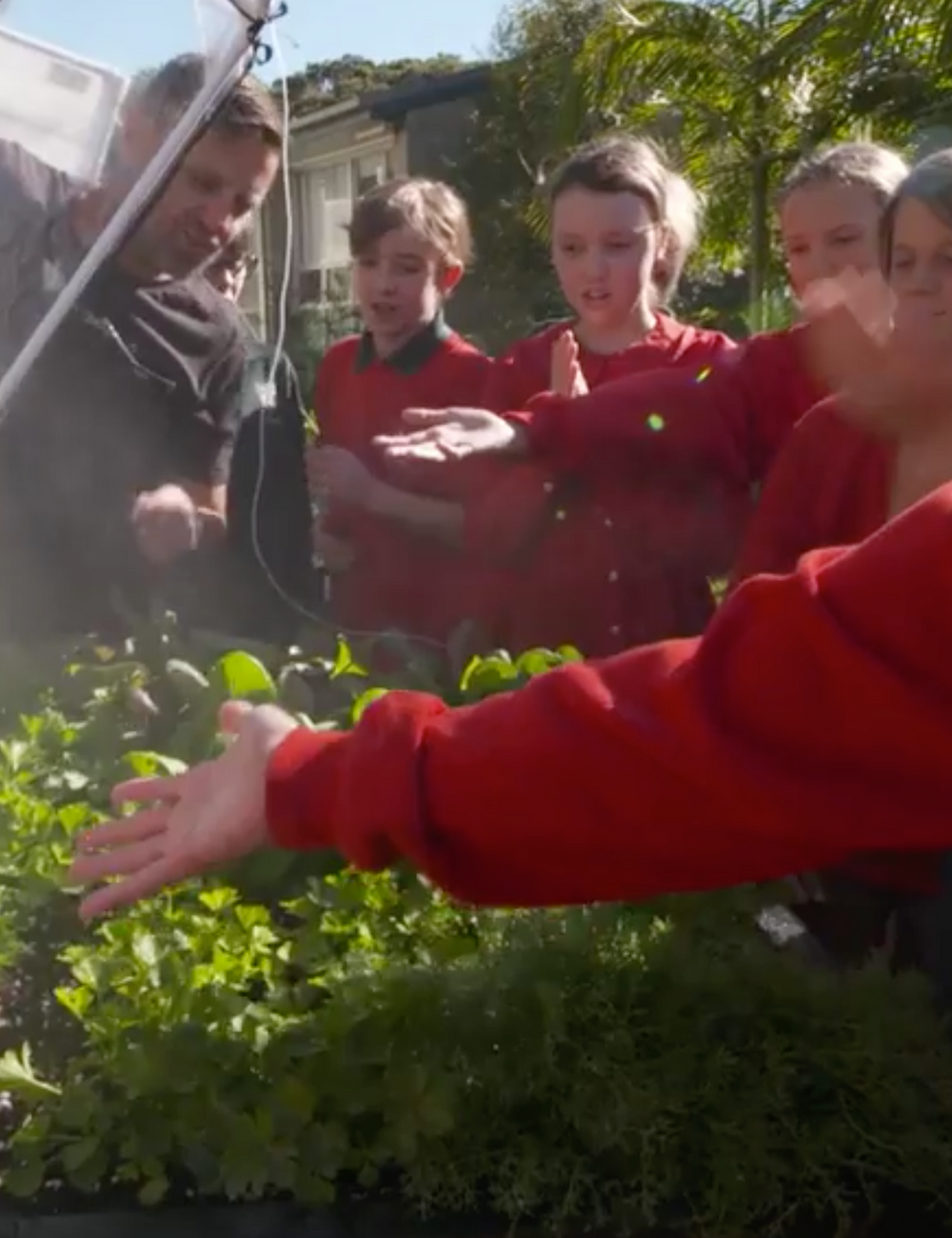 Channel 10's Australia by Design features Vegepod in search for Australia's Ultimate Innovation of 2019!