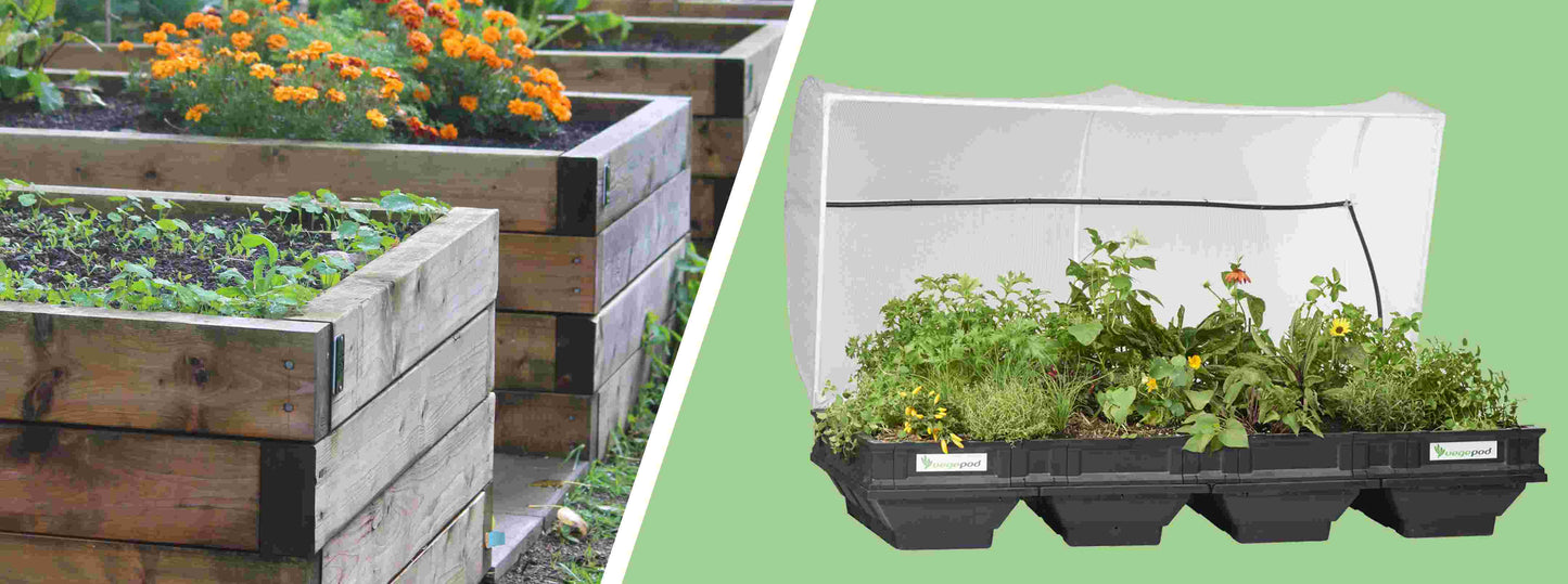 Raised Garden Bed Or Vegepod?
