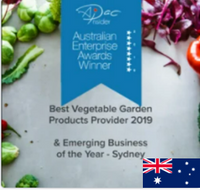 Image of Australian Enterprise winners award with Australian flag