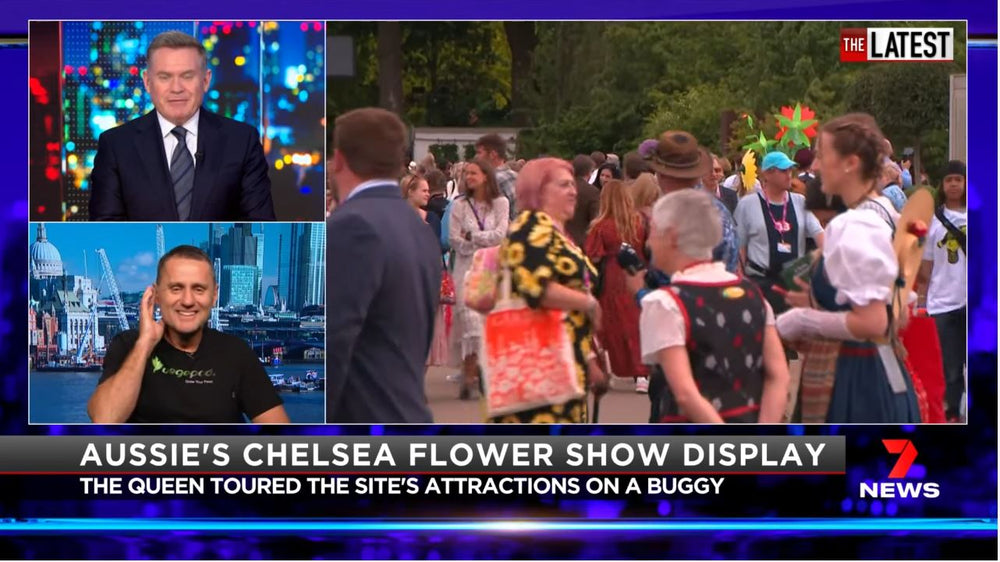 The only Aussie exhibitor at the Royal Chelsea Flower Show