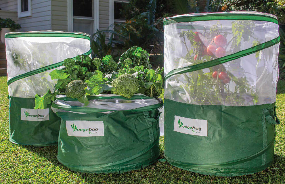Graham Ross on 2GBs Garden Clinic talk about Vegepod's new baby - The Vegebag