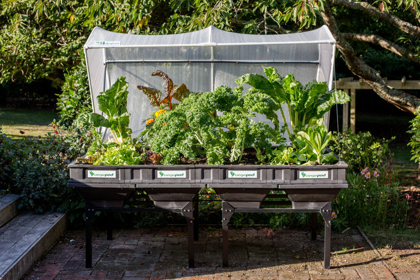 Large Stand