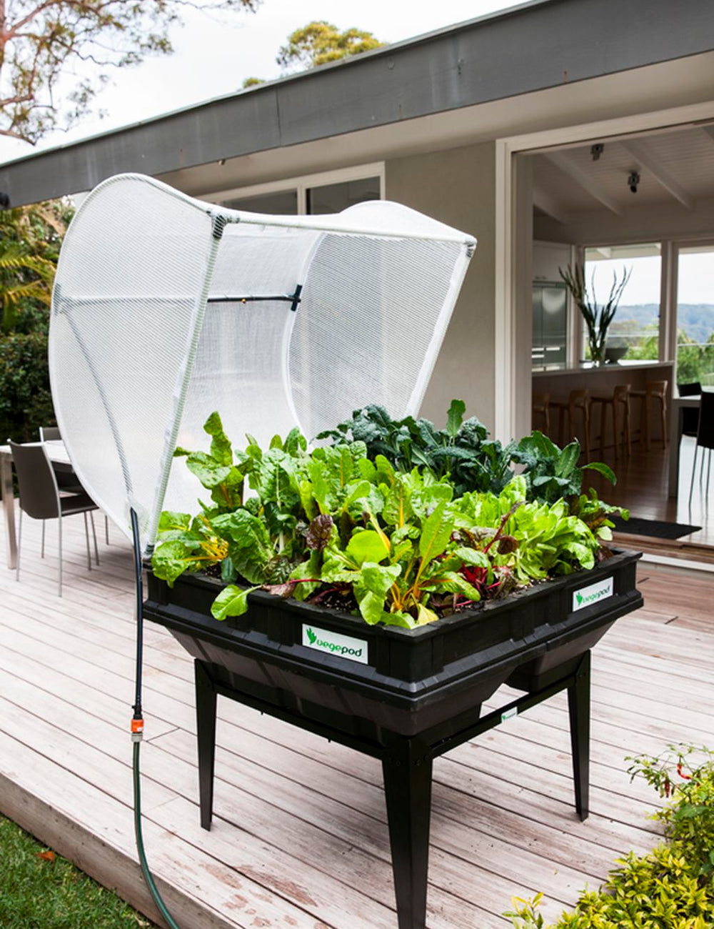Jamie Durie's Gardening Tips