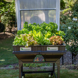 Medium Trolley Stand