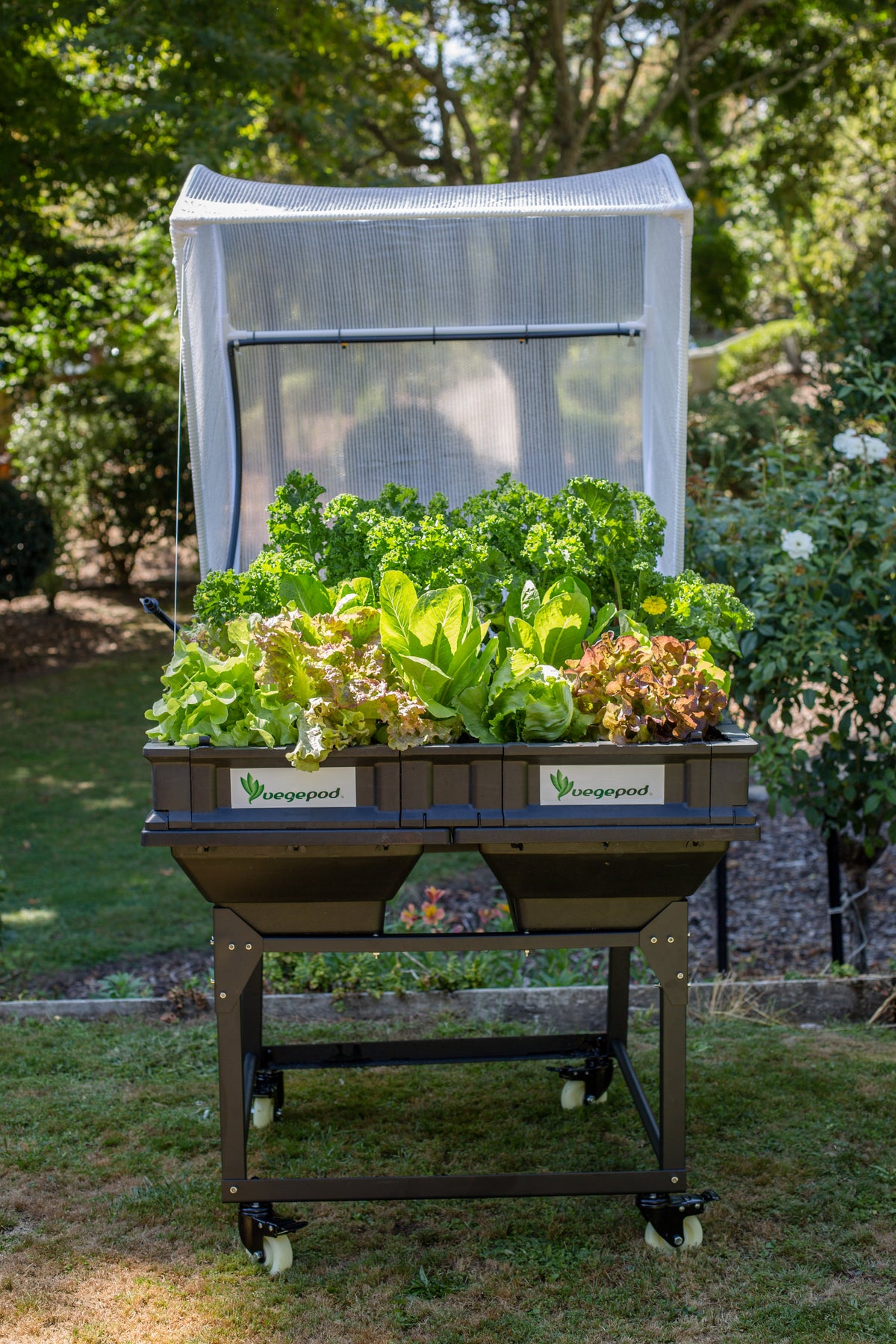 Medium Trolley Stand