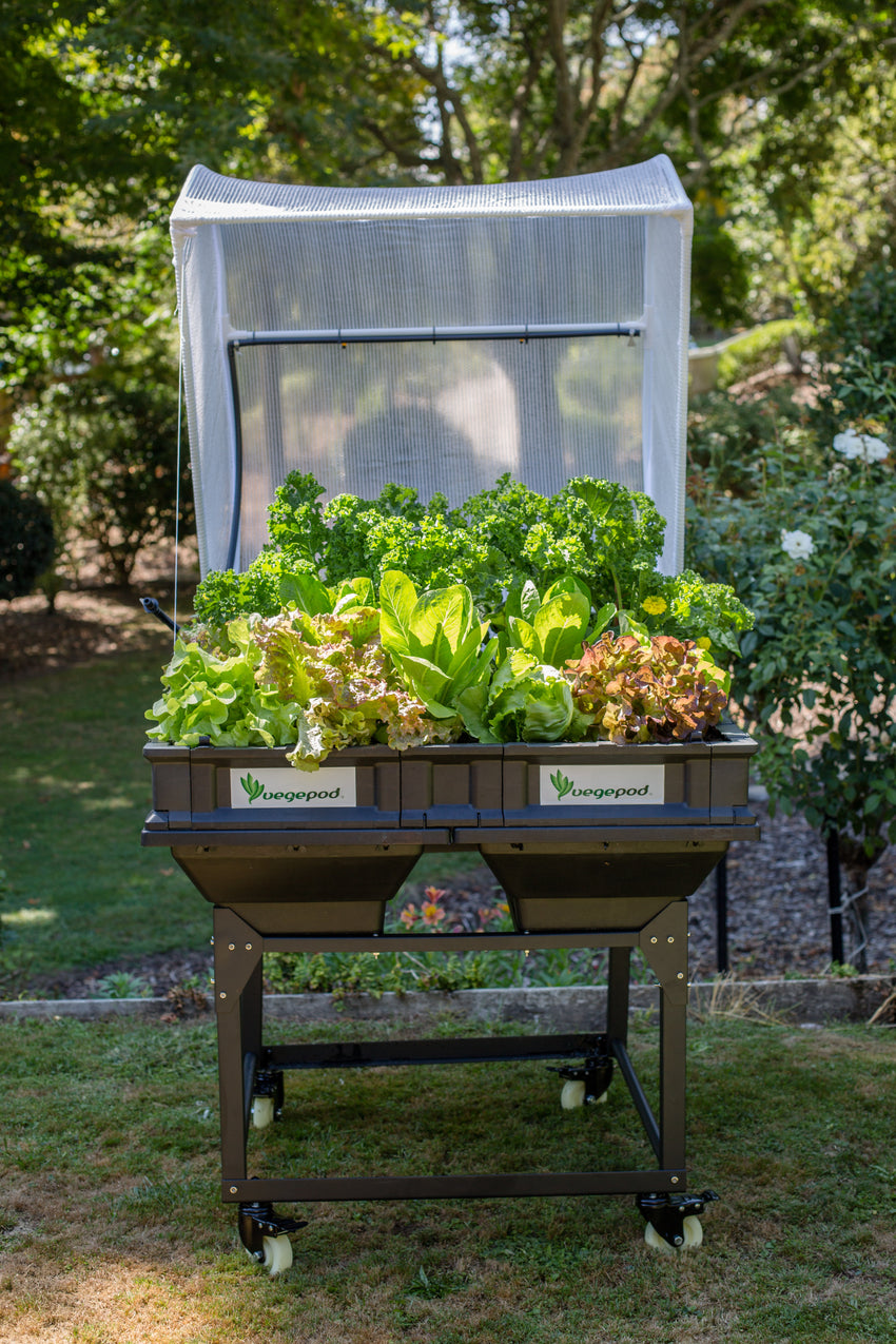 Medium Trolley Stand