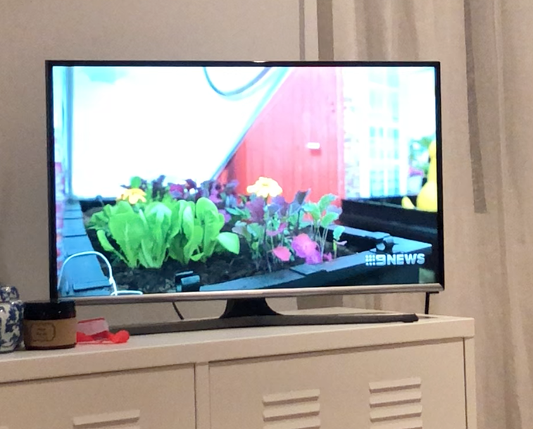 Vegepod Channel 9 News Feature - May 22 2018