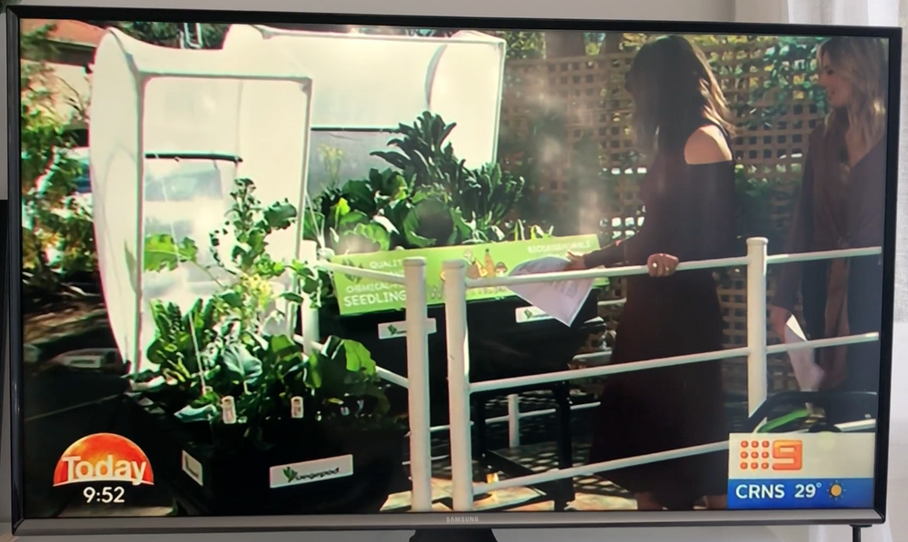 Vegepod on Channel 9 Weekend Show - August 2018