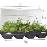 Large Raised Garden Bed with VegeCover  2m x 1m