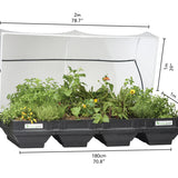Easy-Grow Self-Watering Raised Garden Bed