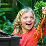 Easy-Grow Self-Watering Raised Garden Bed