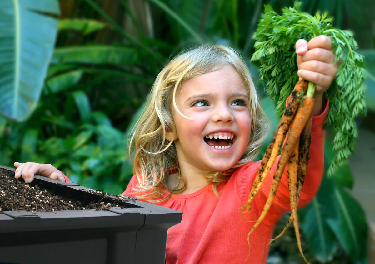 Easy-Grow Self-Watering Raised Garden Bed