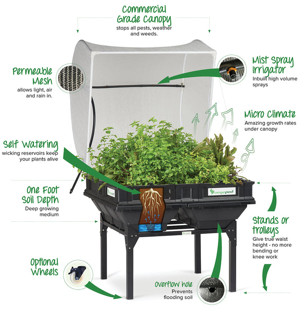 Use This Revolutionary Air-Pot To Grow Healthier Plants With Greater Yields