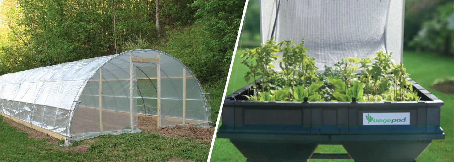 Polytunnel Or Vegepod?
