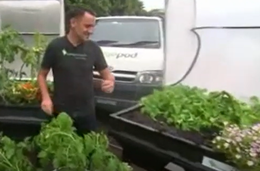 Channel 9's Today Show - Protect your Veggie patch through summer