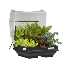 Medium Raised Garden Bed with VegeCover  1m x 1m