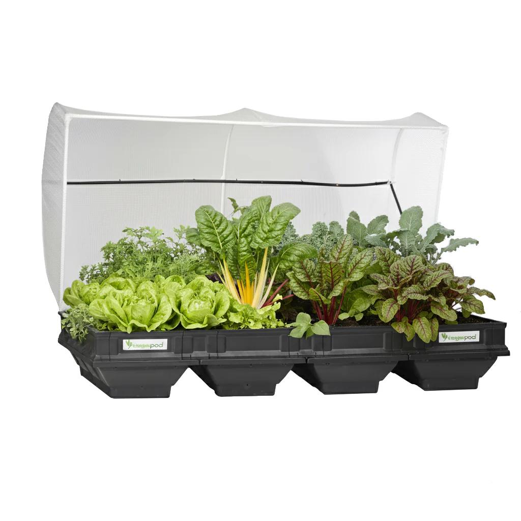 Large Vegepod raised garden bed