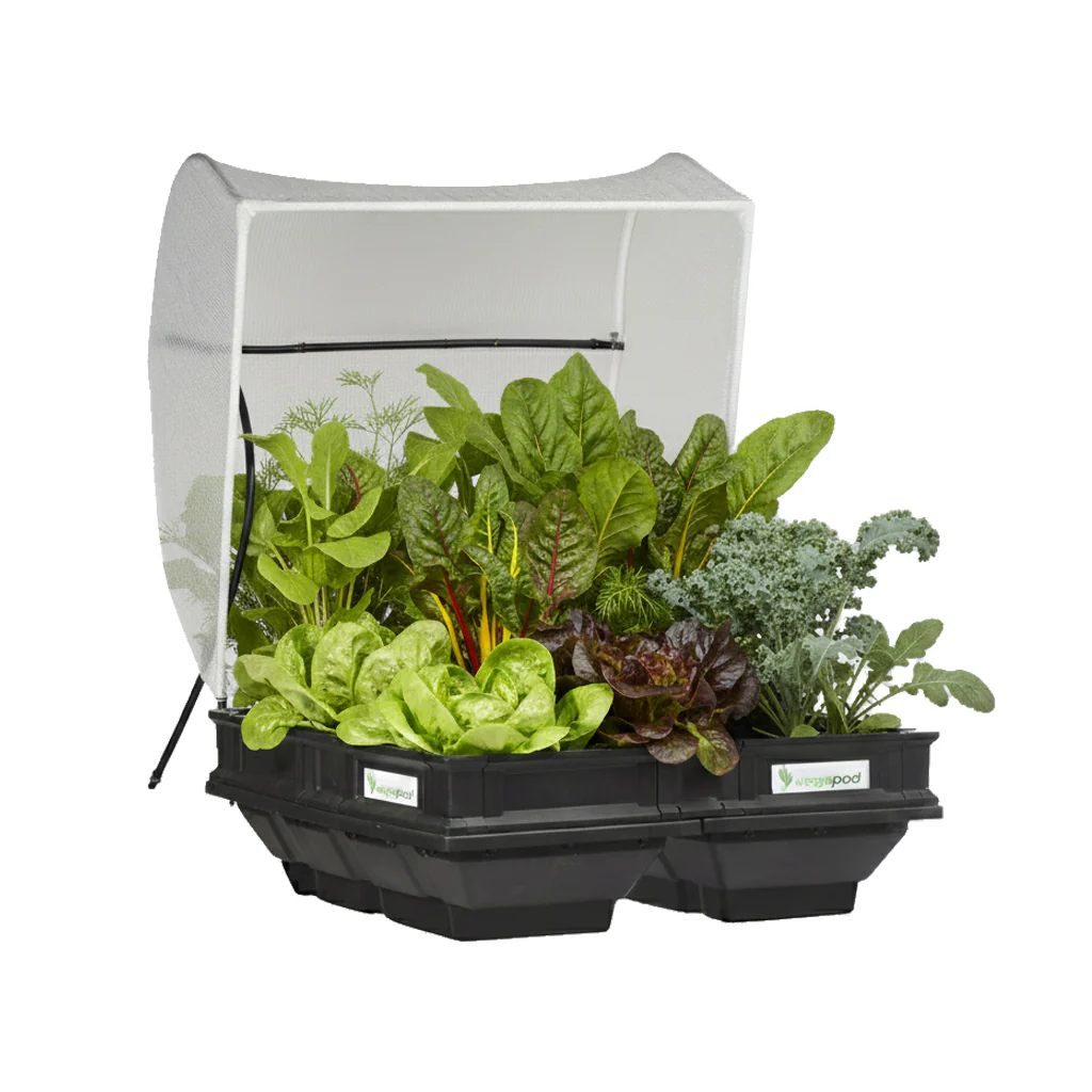 Medium Vegepod raised garden bed