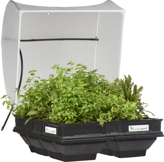 Medium Raised Garden Bed