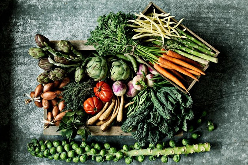 Read about Vegepod in a blog on Swiish by sally Obermeder